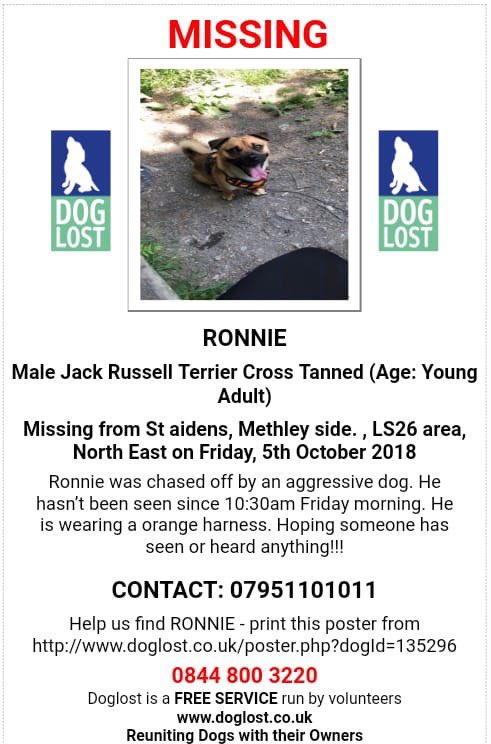 missingdogs155's tweet photo. MISSING TERRIER 😢 Male Ronnie From WEST YORKSHIRE since 5/10/18 😞 Facebook Page- Missing Ronnie ❤️ Loved n Missed 💔 Do You Know Where Ronnie Is Please?🙏 #missingRonnie @gelert01 @colliealert @berternieappeal @Find_Panda @suedaycam @HandleyRach @jaynecellison https://t.co/YUaoSdKo8z