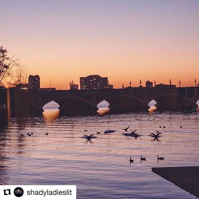 SarapDetroit's tweet photo. Reliving the amazing evening that was Monday with @shadyladieslit and @_elainecastillo! ❤️❤️❤️ #Repost @shadyladieslit with @get_repost
・・・
10 magical moments from our night with Elaine Castillo at the Belle Isle Boat House. Swipe left to see them al… https://t.co/IXWC0pDpKp https://t.co/841Zz0Jr7N