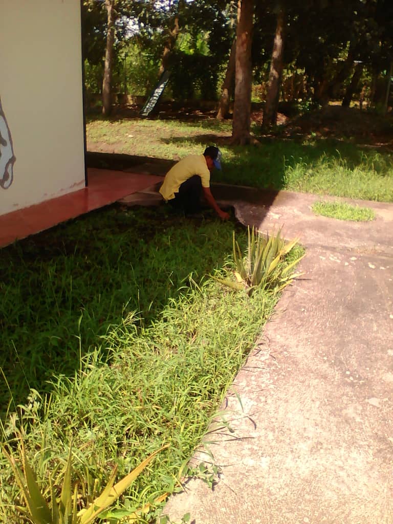 ceibislamadrev1's tweet photo. @EvelinRosendo1 @COORDPTMSAAT1 @rpaatt Jornada de Limpieza en el Ceib Matea Bolívar (Isla Madre Vieja) https://t.co/wby2TWxfxG