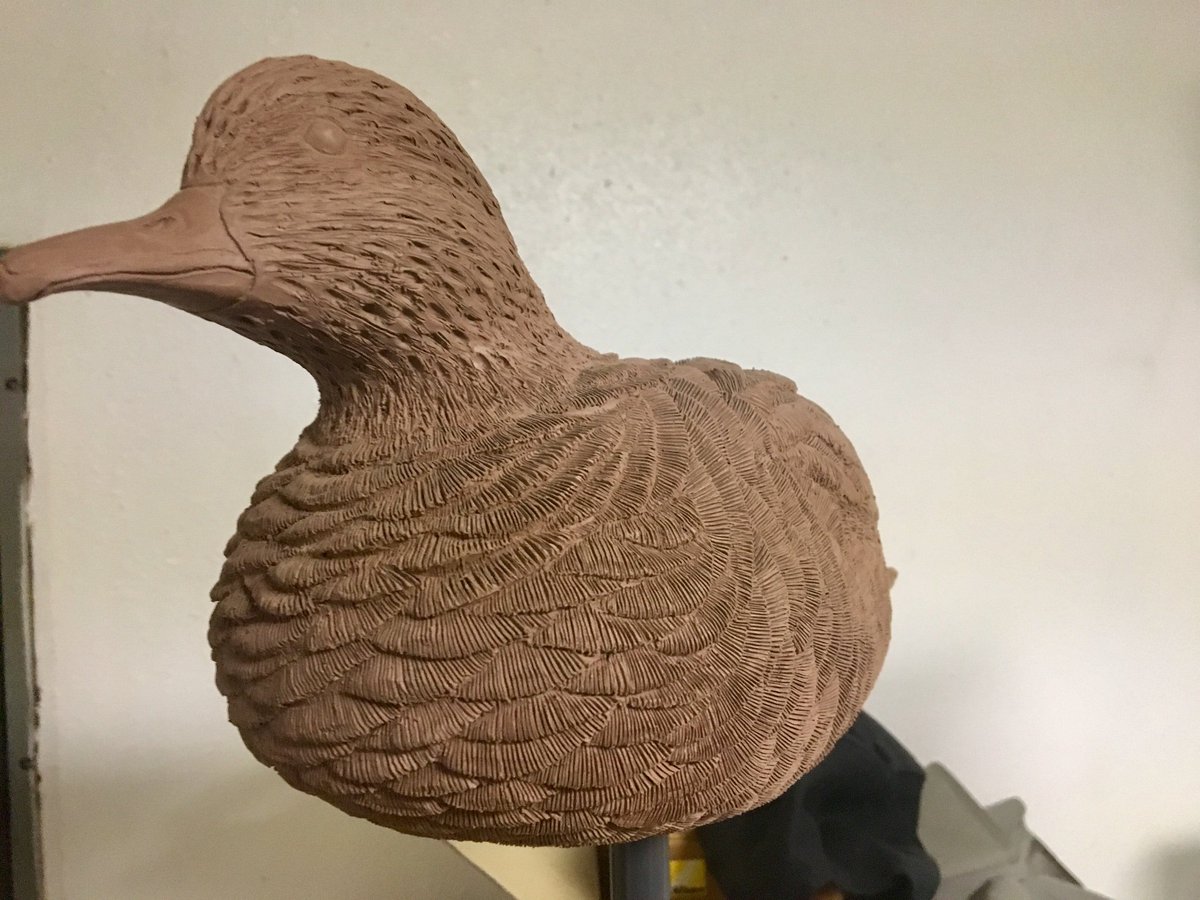 This upright hen Full body Wigeon is off to mold! #duckdecoys #fullbodywigeon #duckhunting #hunting #waterfowl #sculpture #waterfowlhunting
