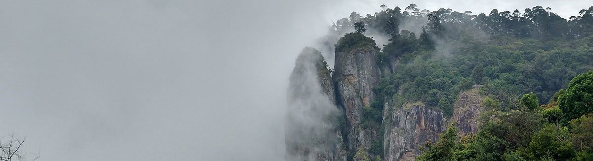 flipdiaryblog's tweet photo. 5 Best Places To Visit In South India In October
https://t.co/wBCNqM7Mwn
#SouthIndiaTraveldiaries #SouthIndiaTour #SouthIndiaPopularDestinations
#LoveForNature #GodsOwnCountry #SouthIndiaLandscape
#SouthIndiaSoloTravel #Travel #Coorg #Kodaikanal #Gokarna #Munnar #Ooty https://t.co/bR31oIMwQ5