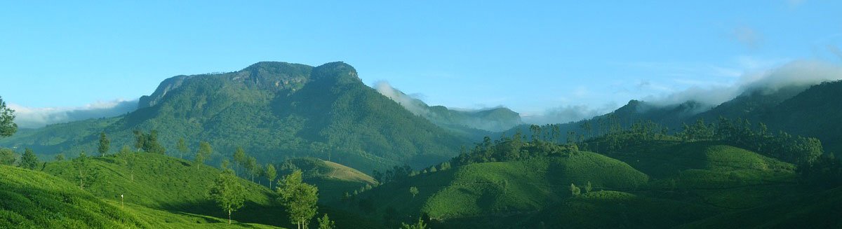 flipdiaryblog's tweet photo. 5 Best Places To Visit In South India In October
https://t.co/wBCNqM7Mwn
#SouthIndiaTraveldiaries #SouthIndiaTour #SouthIndiaPopularDestinations
#LoveForNature #GodsOwnCountry #SouthIndiaLandscape
#SouthIndiaSoloTravel #Travel #Coorg #Kodaikanal #Gokarna #Munnar #Ooty https://t.co/bR31oIMwQ5