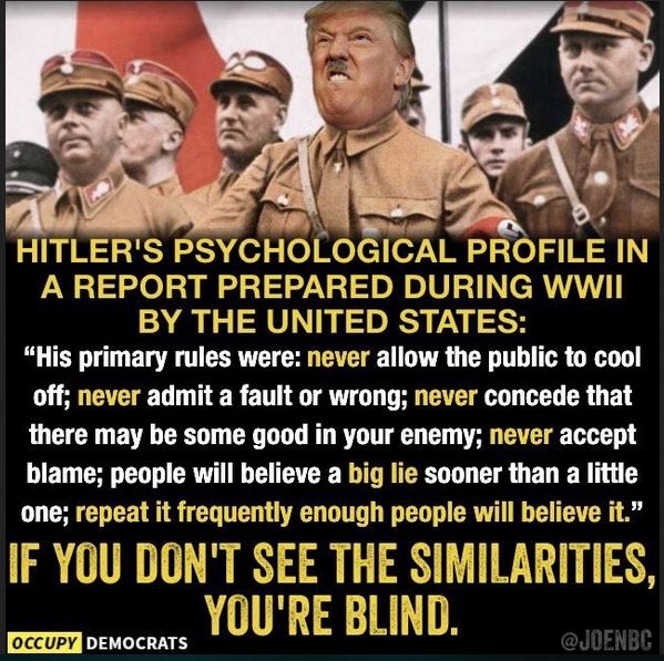 RobinH2222's tweet photo. Trump, like Hitler, is a fascist who uses lies, hate, bigotry & division to create violence in America destroying our democracy & creating an authoritarian dictatorship.
#GOPFascistMob
#VoteBlueToEndThisNightmare
#VoteBlueToSaveAmerica
#VoteBlueToSaveYourself https://t.co/nXKw79hbM3