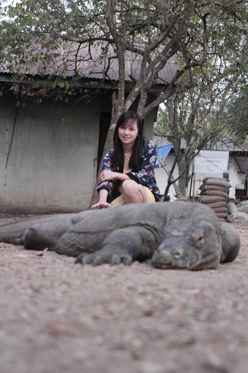 ara_adventure's tweet photo. opentrip sailing komodo 3h2m
Setiap jum'at-minggu
Start Labuan bajo
2.350.000/Pax
Info detail : https://t.co/gywS0T8JGR

#araadventure #opentripmurah #sailingkomodo https://t.co/EUYf4hyp2r
