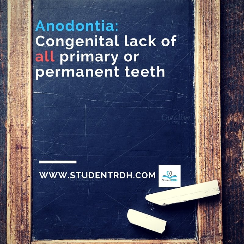 StudentRDH's tweet image. #SaturdayDefinitions #StudentRDH #Anodontia