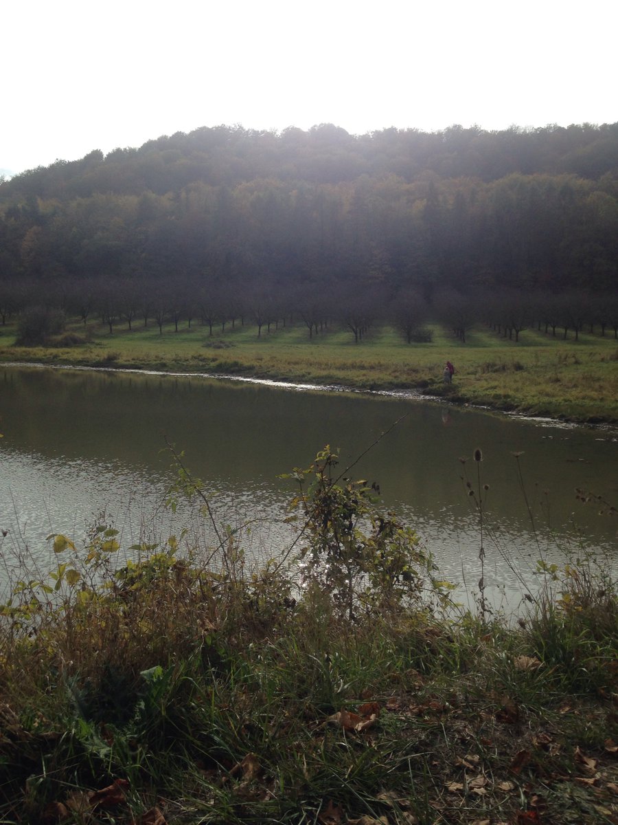 FermePrun's tweet photo. Le verger en mode automne https://t.co/ltAY1hZ76o