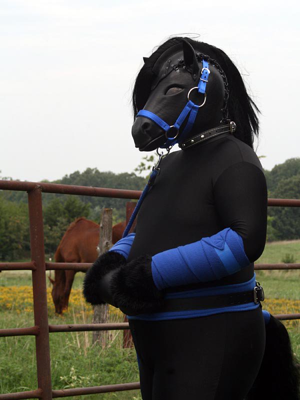 Sorry I have been so quiet recently. I have been REALLY busy with work (October is my busiest time of the year). I haven't had time to Pony up much.

More of me is on the way. Until then, take this pony to protect you on your journeys. 

#PonyPlay #PonyBoy #StallionSaturday