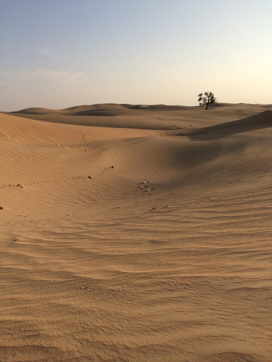 Am Samstag als der Regen kam - nicht. #AbuDhabi