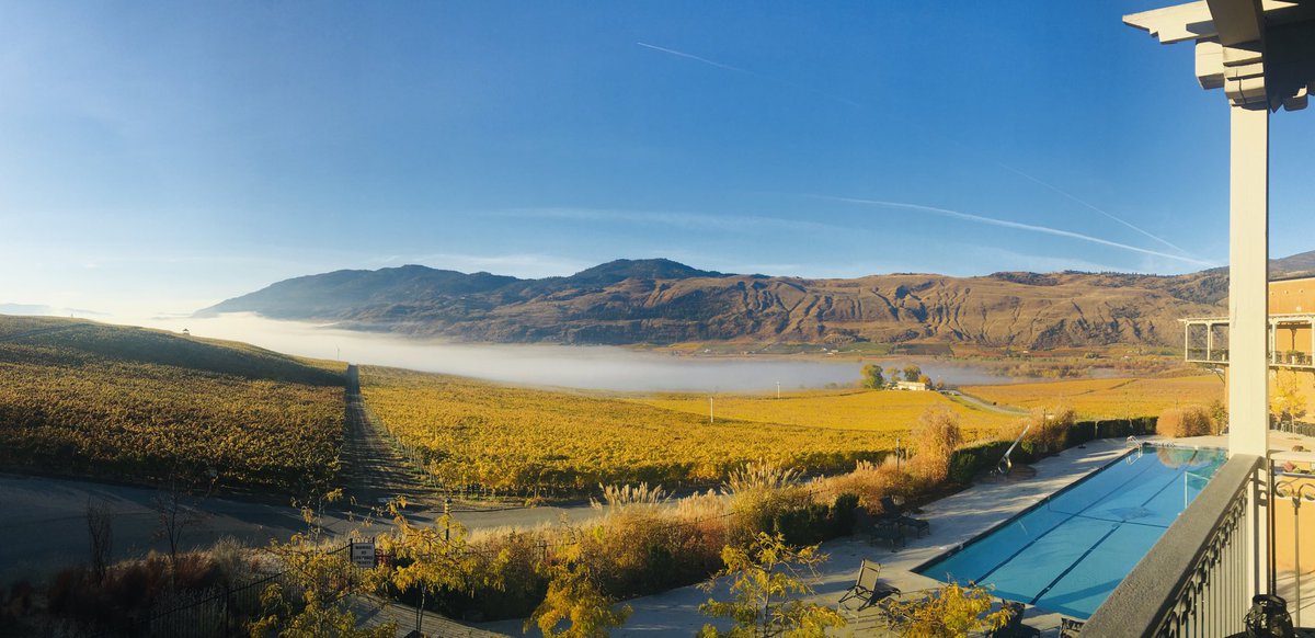 Anthony Gismondi (@thespitter) on Twitter photo <a href="/BurrowingOwlBC/">Burrowing Owl Winery</a> celebrates 25 years in the wine business, a true icon of the south Okanagan. Congrats to the Wyse family. #bcwine #cabernet franc <a href="/BurrowingOwlBC/">Burrowing Owl Winery</a> celebrates 25 years in the wine business, a true icon of the south Okanagan. Congrats to the Wyse family. #bcwine #cabernet franc