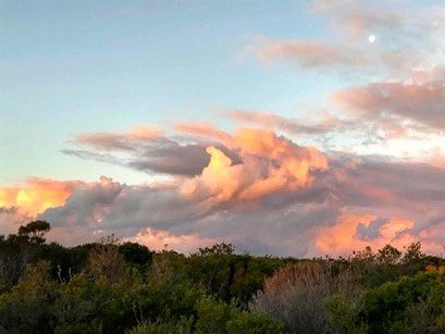 WeatherPlatform's tweet image. Your full 7 day forecast.
Instagram.com/WeatherPlatform
Pic: Manly Weather Watch