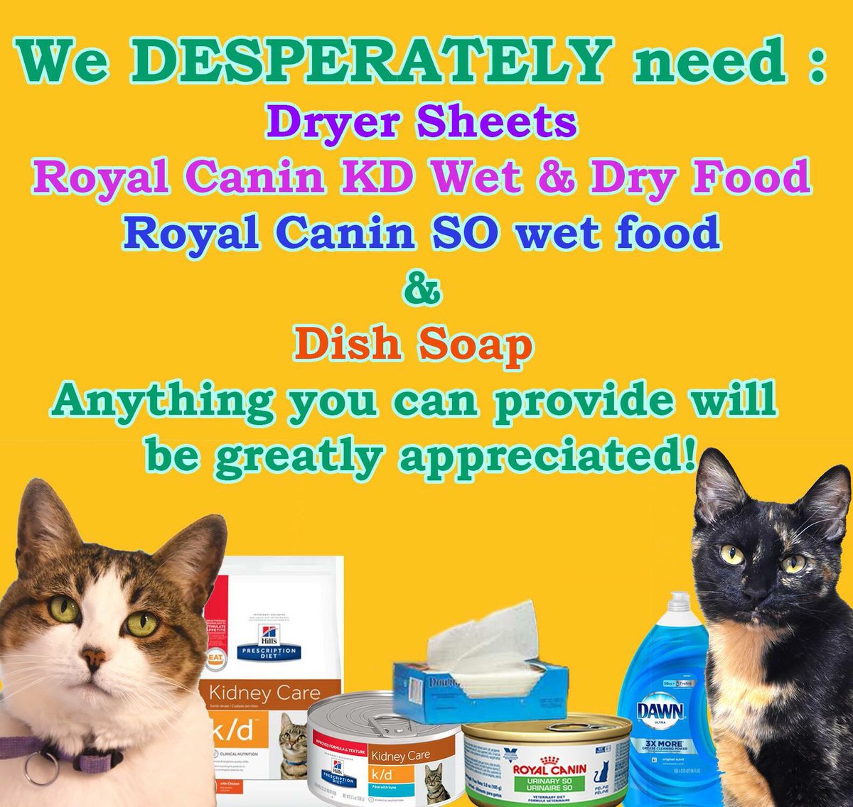 Cat Care Society Donations Adoptable Cats Kyhumane Spend on the