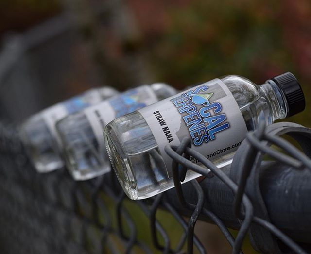 theterpenestore's tweet photo. SoCal made! 👈
.
.
.
.
#terpnation #terpaholic #terprevolution #terpsonpoint #terps #terpdippin #strainspecificterpenes #dab #dabs #vape #terpsonterps #terpy #terpenesforsale #terps #vapenation #theterpenestore #handcheck #dablife #cbdvape #socalterpenes https://t.co/JcA4K0TWZb https://t.co/cgOwoJyApG