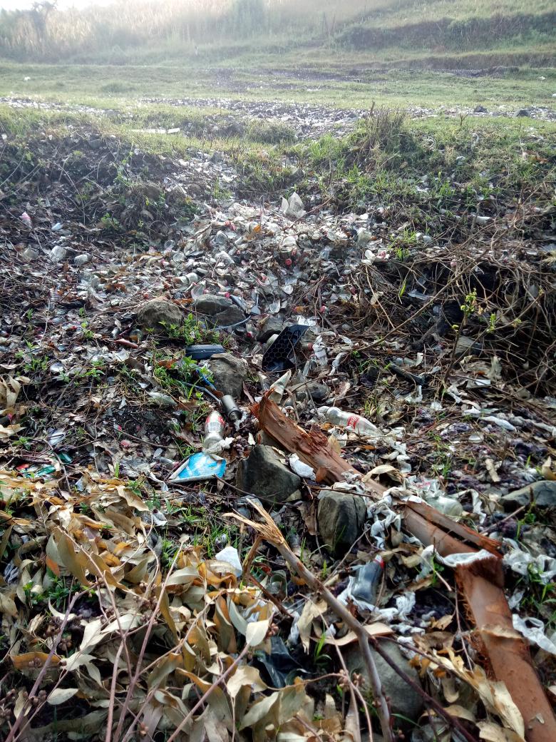 Kytcyray's tweet photo. @CCBAinKenya @NemaKenya @RobertAlai @WorldofCocaCola @kerichocountygv @darylwilson2017 @NemaKenya can you please intervene here, this is someone's road to homestead. Pantures every day. We are counting on losses and our cry are felling on deaf ears. Can this be addressed and compensation done? Empty promises everyday https://t.co/damj2FsuQq