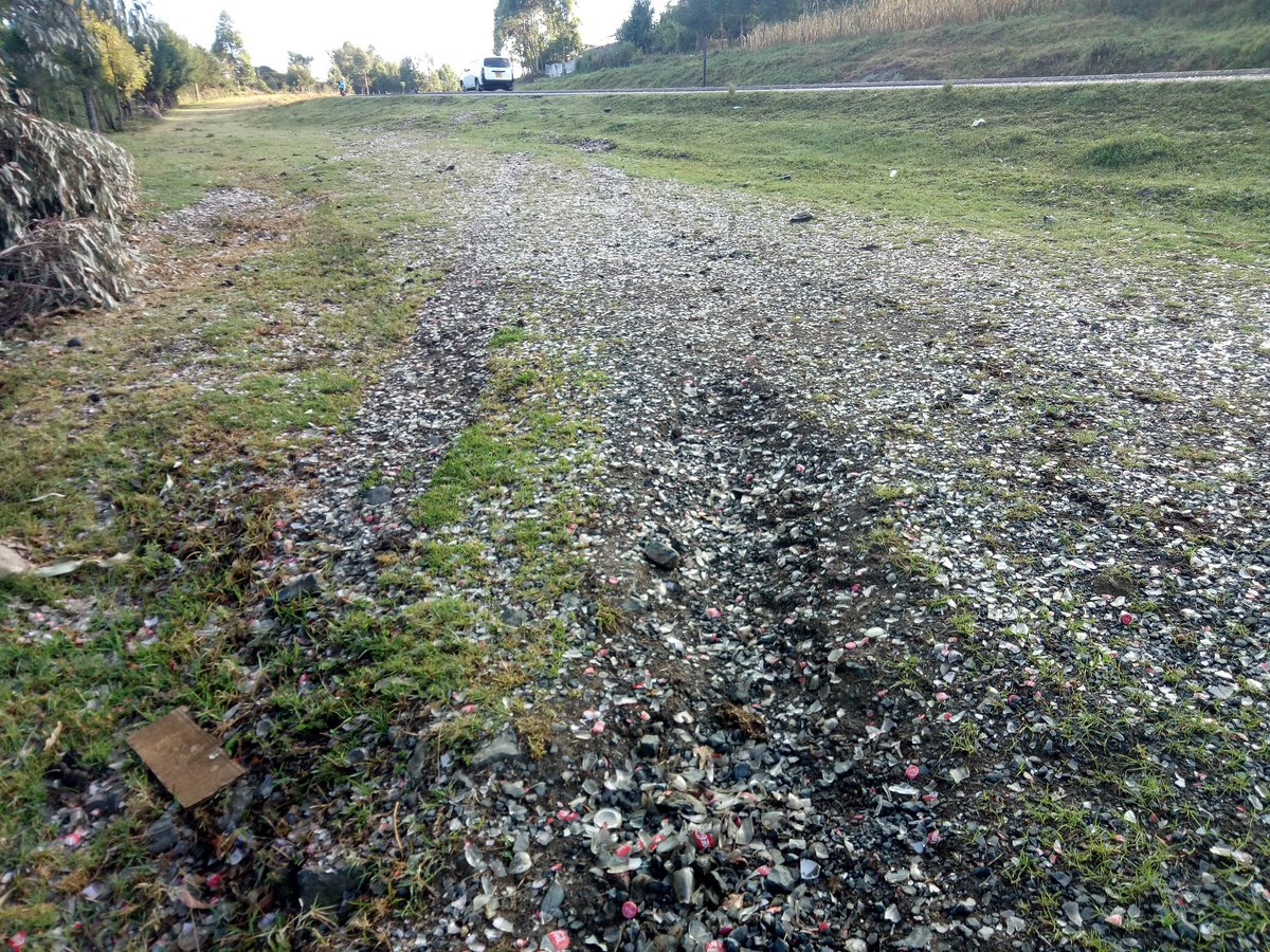 Kytcyray's tweet photo. @CCBAinKenya @NemaKenya @RobertAlai @WorldofCocaCola @kerichocountygv @darylwilson2017 @NemaKenya can you please intervene here, this is someone's road to homestead. Pantures every day. We are counting on losses and our cry are felling on deaf ears. Can this be addressed and compensation done? Empty promises everyday https://t.co/damj2FsuQq