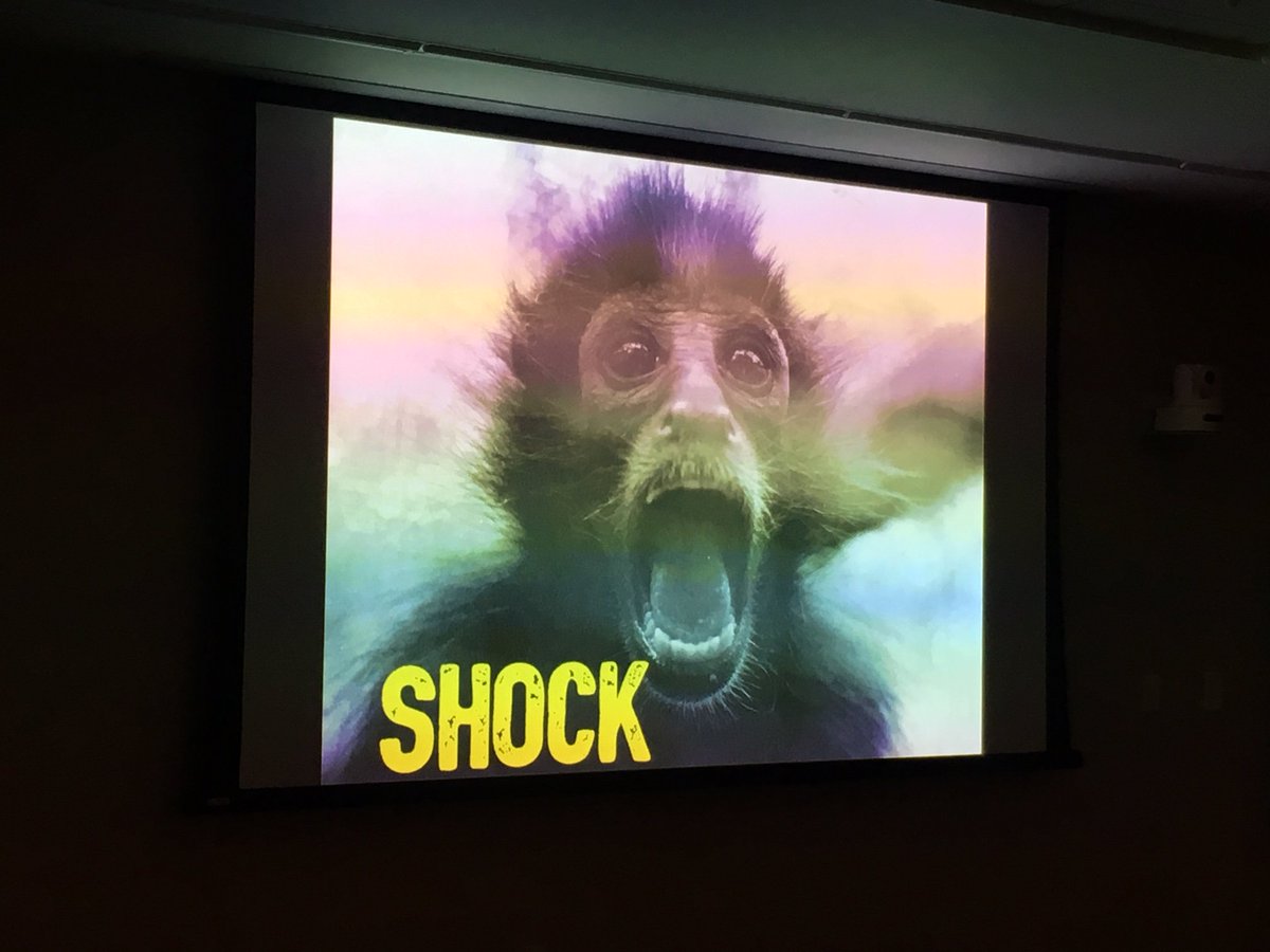 mackendc's tweet photo. Great day of US education - thanks @VTEMSONO @KristinDwyer1 @jrpare29 @fennhuang @LyGer_MD Day 2 PPOCUS moves to @goodfirebrewing. Not a course without an an appearance from @PeterEamonn's #shockmonkey https://t.co/ueBvPc4glG