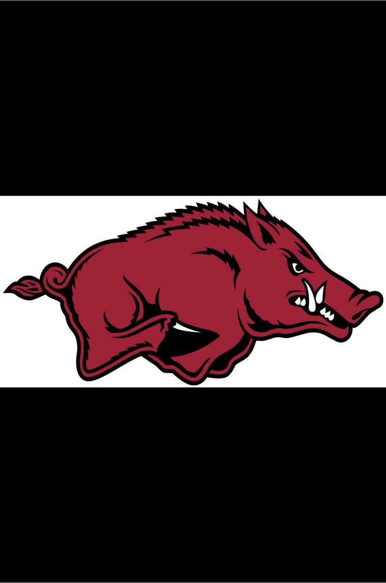 Catrelllwallace's tweet image. So grateful to have revived an offer from The University Of Arkansas!🐗 #WPS #FirstOffer @BarryLunneyJr