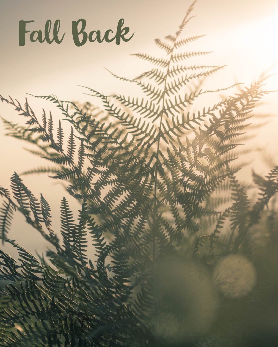 JuneDating's tweet image. Fall Back 🕒🔜🕑 Reminder: Tonight the clocks are going back an hour 😴 Either an extra hour of sleep or a longer date night 🥂  #JuneDating