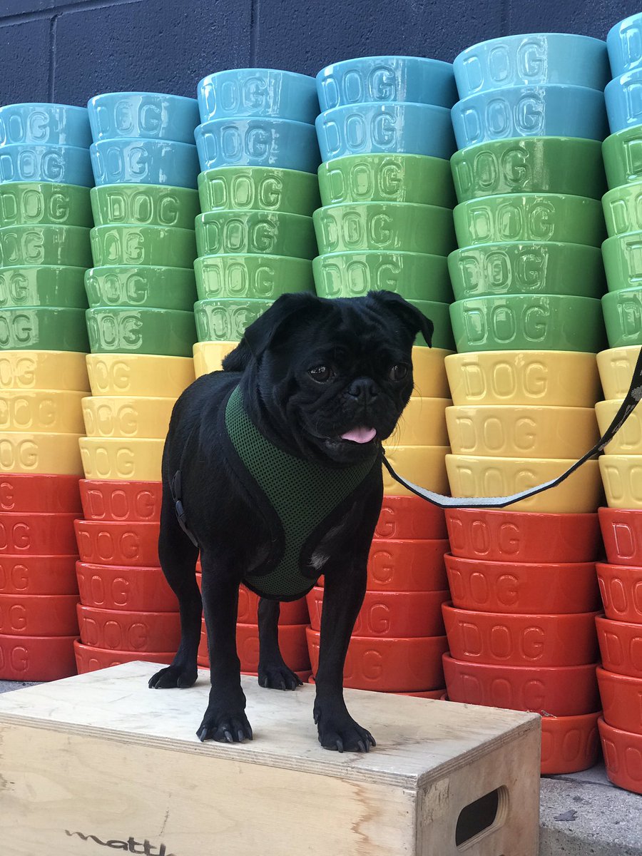 Bauer Pottery tweet media