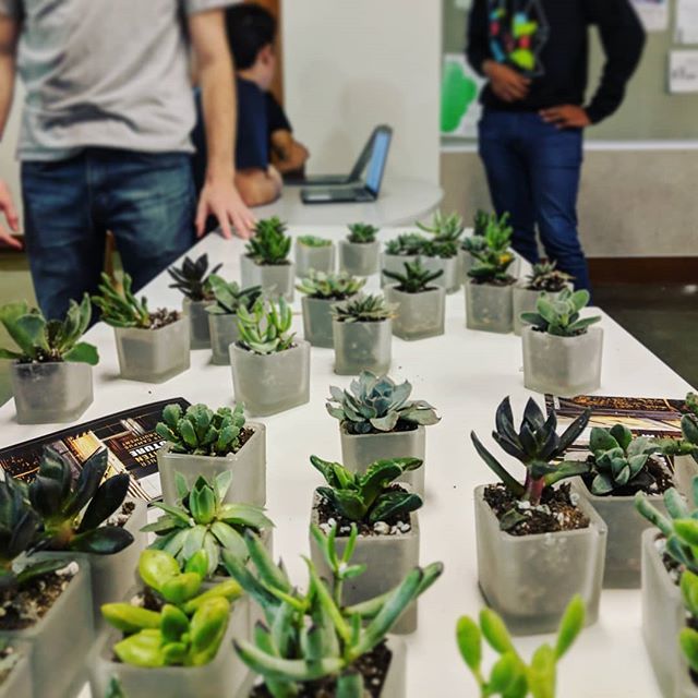 thesephist's tweet image. Beginner plants for beginner hackers.... There's a metaphor somewhere here 🤔 #cubstart #calhacks