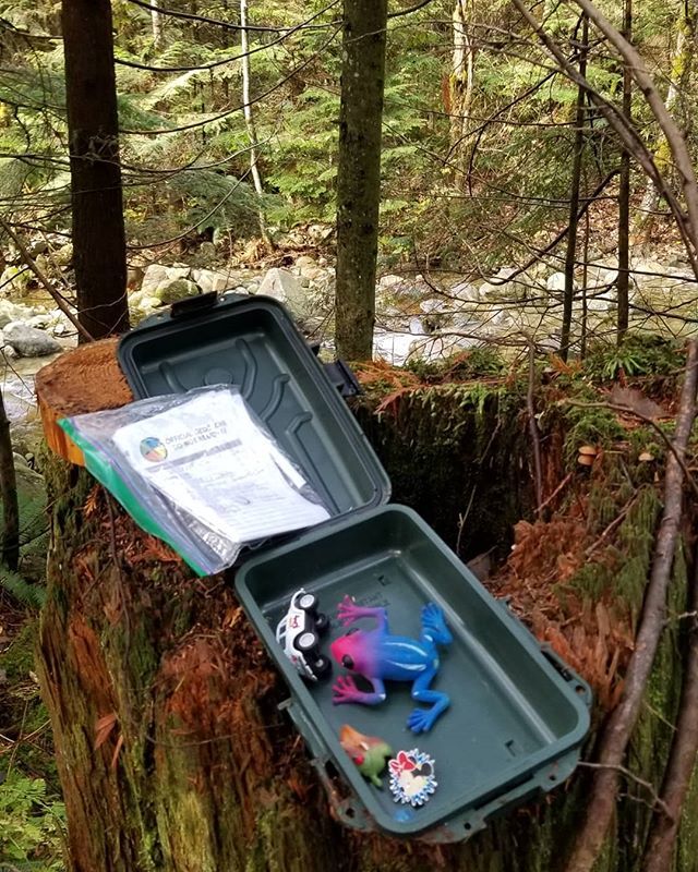 LANMonkeyGC's tweet photo. Life is good!
Out #geocaching today with my best friend, and found a #geocache in perfect condition. Well, found many, but this one was in such a beautiful spot!📸🌲
.
#cachingconnoisseur #GoGeocaching #getoutside #goexplore #showusyourcache @geocachin… https://t.co/5cj3lEFAfa https://t.co/66U1lgWQPa