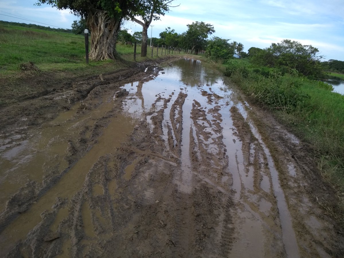 SucComunicadore's tweet photo. El mal estado de las vías en el municipio de Sucre,  están  dejando sin  acceso a los corregimientos de la zona del Panceguita, debido a las fuertes lluvias y el aumento de los caños @psocialmag @FondoAdaptacion #LaMojana https://t.co/dfTBghASuc