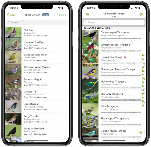 MacaulayLibrary's tweet photo. Check out the new integrated features in eBird Mobile and Merlin Bird ID https://t.co/t4R1KfZG2h
#eBirdMobile #birding #birdID @MerlinBirdID @BirdCams https://t.co/VltbZWrmoL
