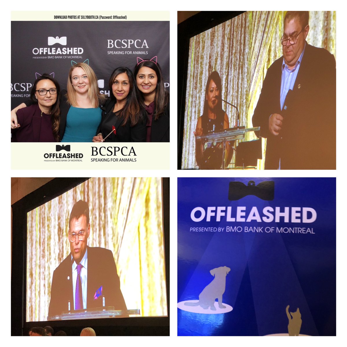 Lana Bezzubiak tweet media