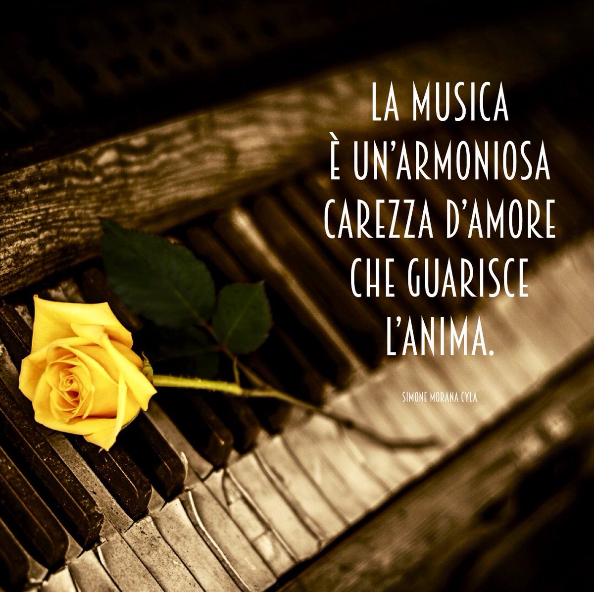 Simone Morana Cyla La Musica E Un Armoniosa Carezza D Amore Che Guarisce L Anima Simone Morana Cyla Frasi Aforismi Aforisma Musica Amore Poesie Italiano Cultura Parole Simonemoranacyla Simonemorana Lettere Poesia Vita