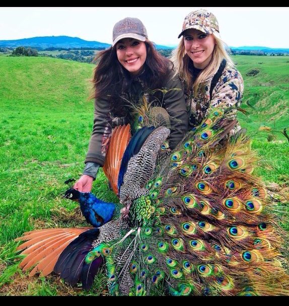 Dr Daniel Allen tweet media