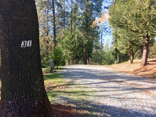 GoldCountryCR's tweet photo. We're booking up for next year. Please call (209) 296-4650 or reserve online soon for your favorite spot. We want to make sure our returning guests don't miss out, we're looking forward to seeing you again!
#goldcountry2019 https://t.co/PhZTyfxgnL