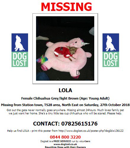 DogLostUK's tweet photo. #LOST #Dog LOLA
Female #Chihuahua
#StationTown #TS28
Saturday 27th October 2018
#LostDog @VetsGetScanning @SAMPAuk_
https://t.co/hrVak4Zb0k https://t.co/ZCNJR0I0s4