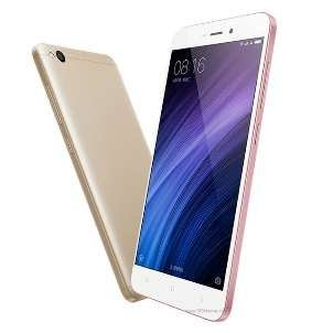 Pelangi Nur Fitriani tweet media