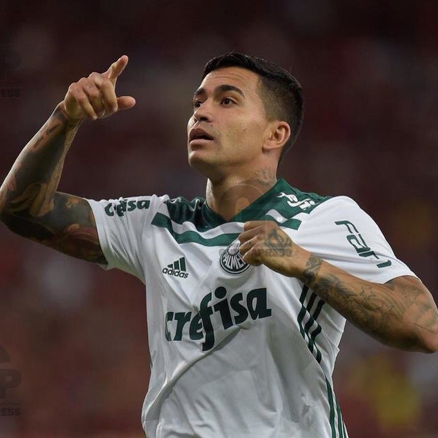 picmeiras's tweet photo. joga muito nosso camisa 7 💚 https://t.co/t3GP5KP7TP