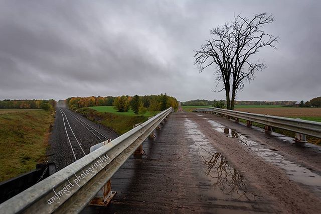 amfmgirlphoto's tweet photo. One of several officially designated rustic roads in the state of Wisconsin offers a lovely view.
.
.
#RusticRoad #rural #getoutside #backforty #traintracks #gravelroad #overcast #rain #clouds https://t.co/qQLa8J0fE9