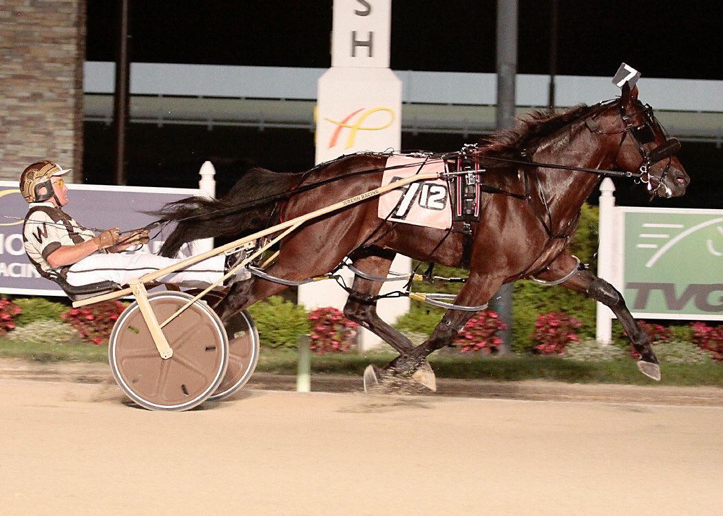 HoP_Racing's tweet photo. After winning his elimination last week and a second place finish in the @Breeders_Crown last year—Shnitzledosomethin is looking for a win tonight—Race 12 Post 5! 

RT if you think tonight is his night! #BCrown18 #INDSired @ddracing11 https://t.co/pyQg8I5Sum