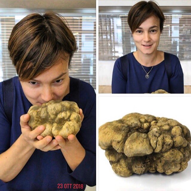 Stefania Montanaro: she go house by house around ‘Langhe Roero and Monferrato’ buying the best white truffles. #tartuflanghe #ilovetruffle #TLtruffles #instafood