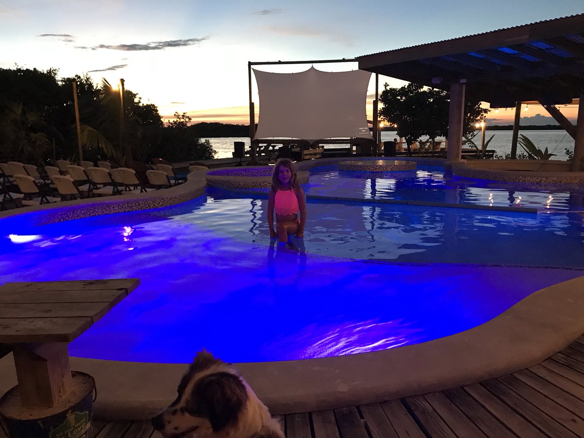 theparadiseguy's tweet image. Just another Saturday night in late October in Belize. Watching a movie from the pool. So when you coming down? Contact me at info@paradiceguy.com👈#barsinbelize #paradiseguy #getoutofthecold #Caribbean #paradiseguy #vacationdestinations #ambergriscaye