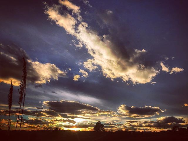 bongofury's tweet photo. Clouds, The #Clubhouse
#nature #sky #skyscape #skyporn #clouds #cloudporn #sunset #snapseed #hdr #hudson #icviews https://t.co/2P1gXbDWdL https://t.co/umPn261XXt