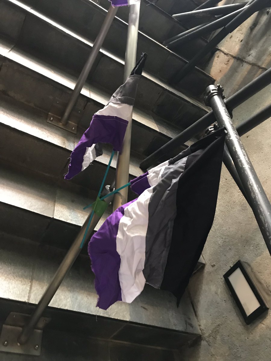 Asexual Awareness Week In Japan エースフラッグをつけています Asexualawarenessweek w winjapan Acefile Aceの思い Acefesta