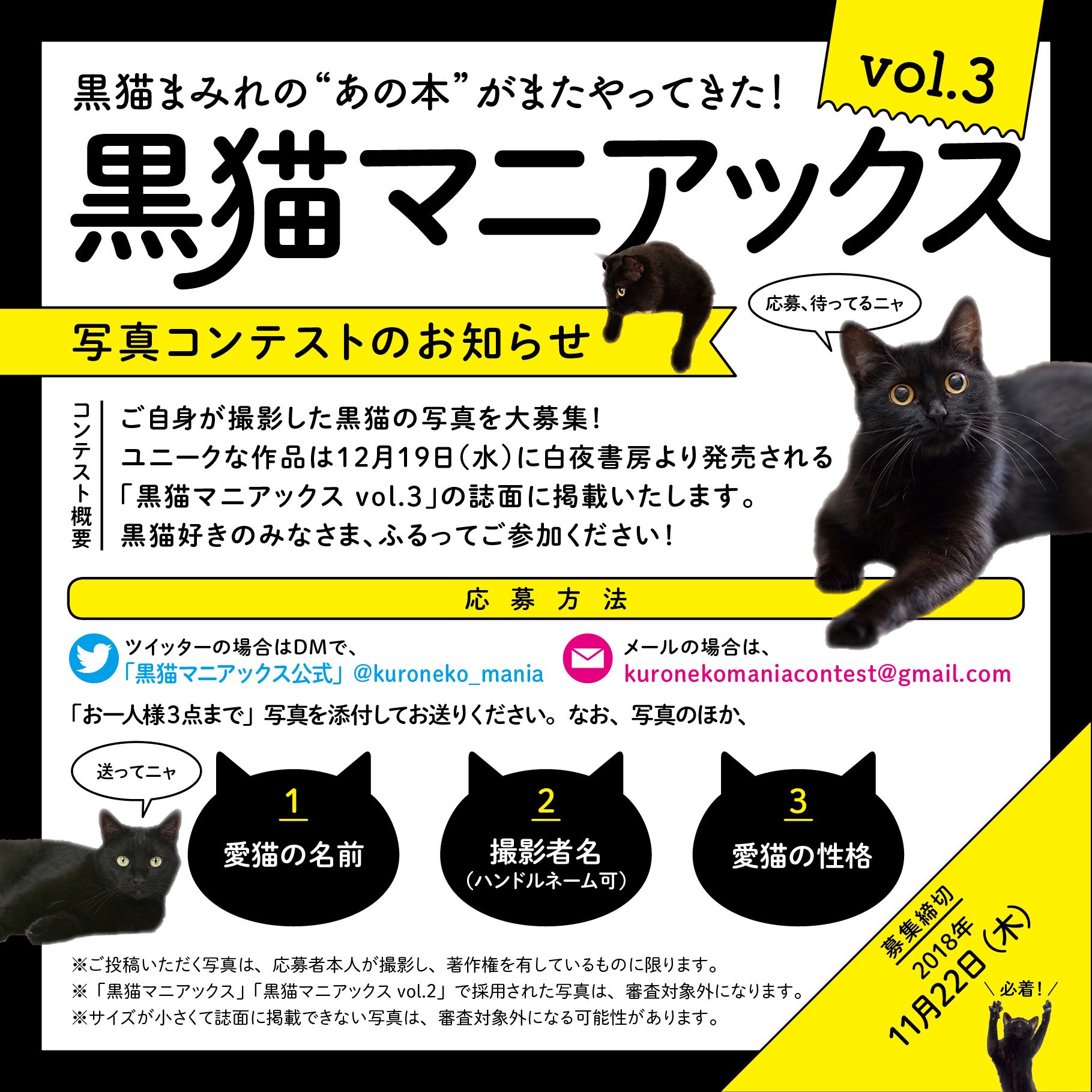 モデル着用&注目アイテム 猫まみれ様専用 millenniumkosovo.org