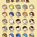 かわいい!日本にいる小鳥たち!その小鳥たちの絵が可愛すぎる!
