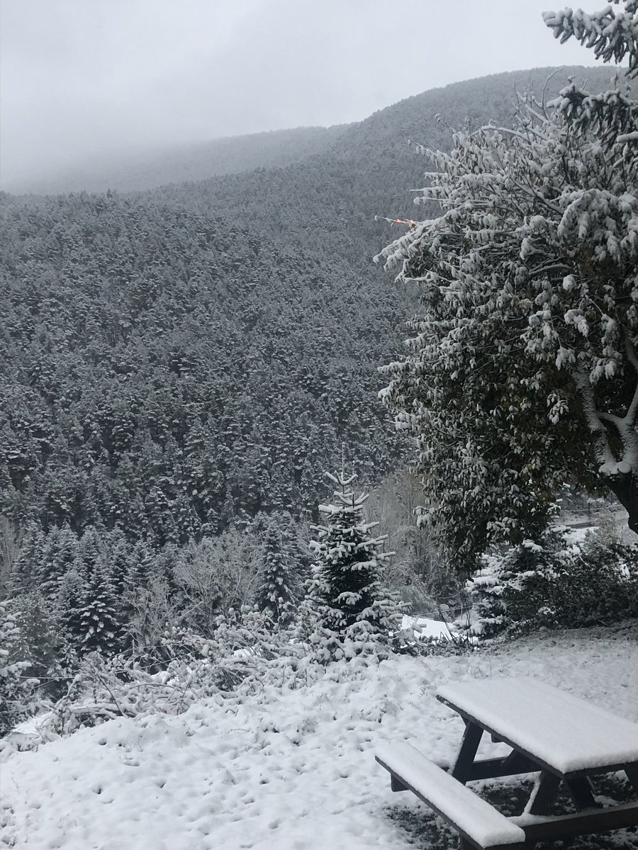 Bon dia desde la cota 1.500 de la Molina @BesTinabes !!! ❄️ @TomasMolinaB @MeteoMauri @Monica_Usart @meteocerdanya @MeteoPiri