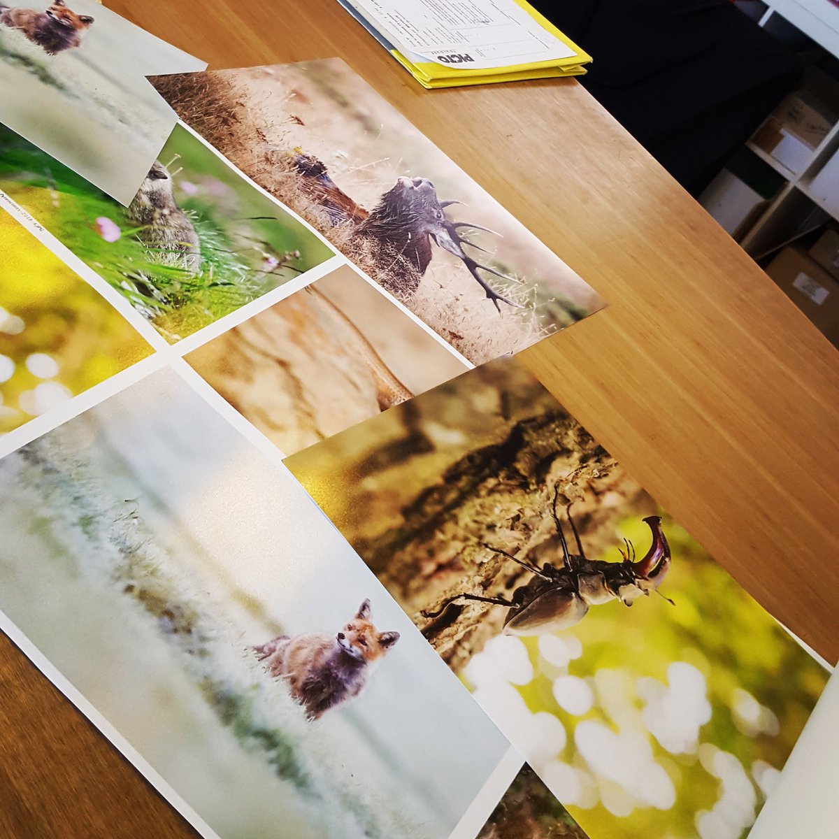 krupaphoto's tweet photo. Un tour chez PICTO Toulouse pour valider les impressions 🎬
Les tirages contrecollés sur Dibond 60x90cm sont en cours...
Rendez-vous au Festival Pyrenicimes à Pibrac (5min de Toulouse) pour les voir 😉
#pictotoulouse #pyrenicimes #festivalpyrenicimes #pibrac #toulouse #pyrenees https://t.co/tnkwiLW6aP