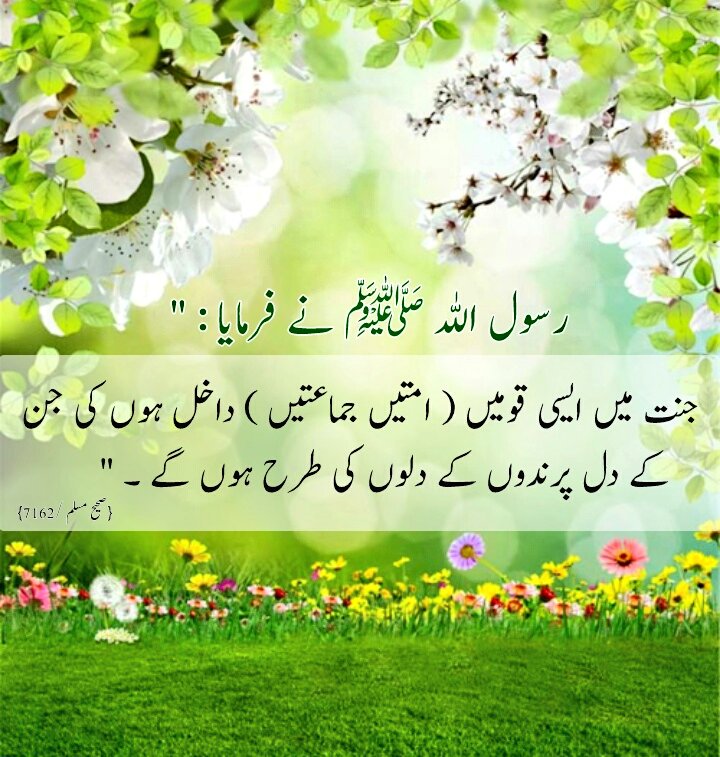 _UmAr_khAn_'s tweet photo. https://t.co/zy4PQUXyP5