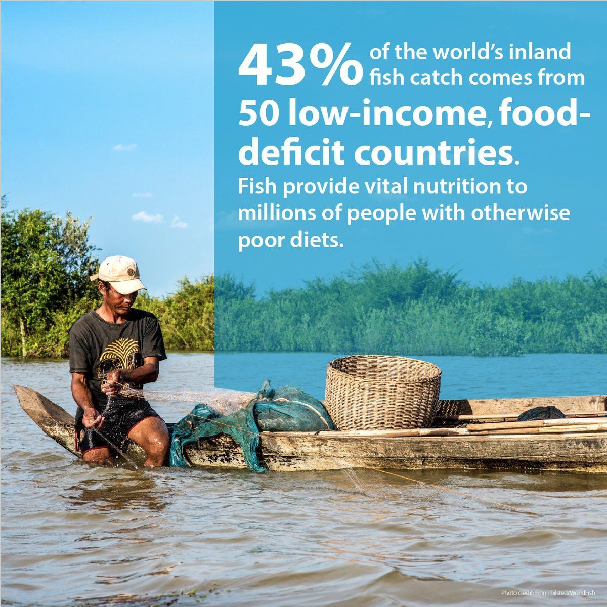CGIAR_SAAF's tweet photo. #Fish provide vital #nutrition to millions of people with otherwise poor diets – a reality discussed last week at #3wsfc. Watch the sessions here: https://t.co/OktAUXqSmC https://t.co/vFw0PCKtrb