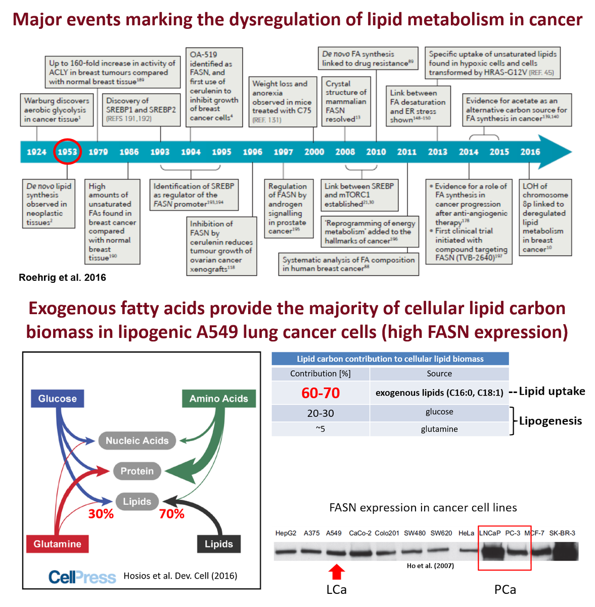 MSadowski10's tweet photo. @HoyLipidLab And we thought for the last 70 years #lipogenesis is the major supply  route of #lipidmetabolism in cancer, including #prostatecancer. The landmark study by the @MatthewVHeiden lab shows that #lipiduptake provides the majority of lipids in #cancers with the lipogenic phenotype. https://t.co/PiJZ6y9wB9