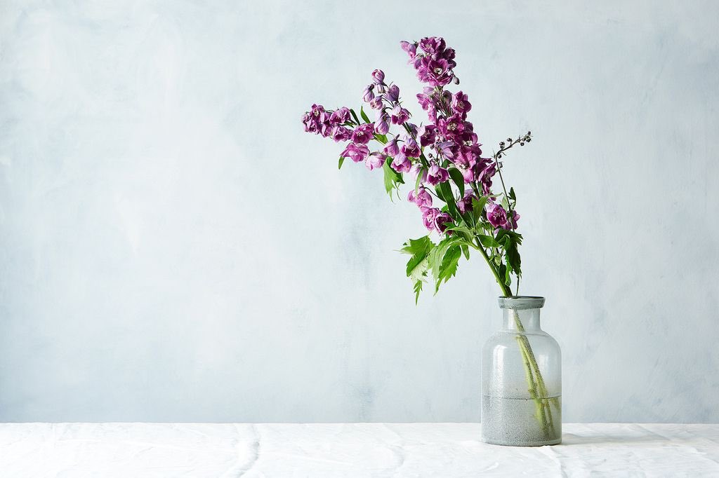 [Sets this on the nightstand next to <a href="/DeftMatriarch/">Cordelia Llewellyn</a>’s side of the bed with a note.

“Although this flower arrangement is simple, my love for you is anything but. It has grown and evolved over these centuries, and lights up the darkest corners of my soul.

Yours always,
Rhys”]