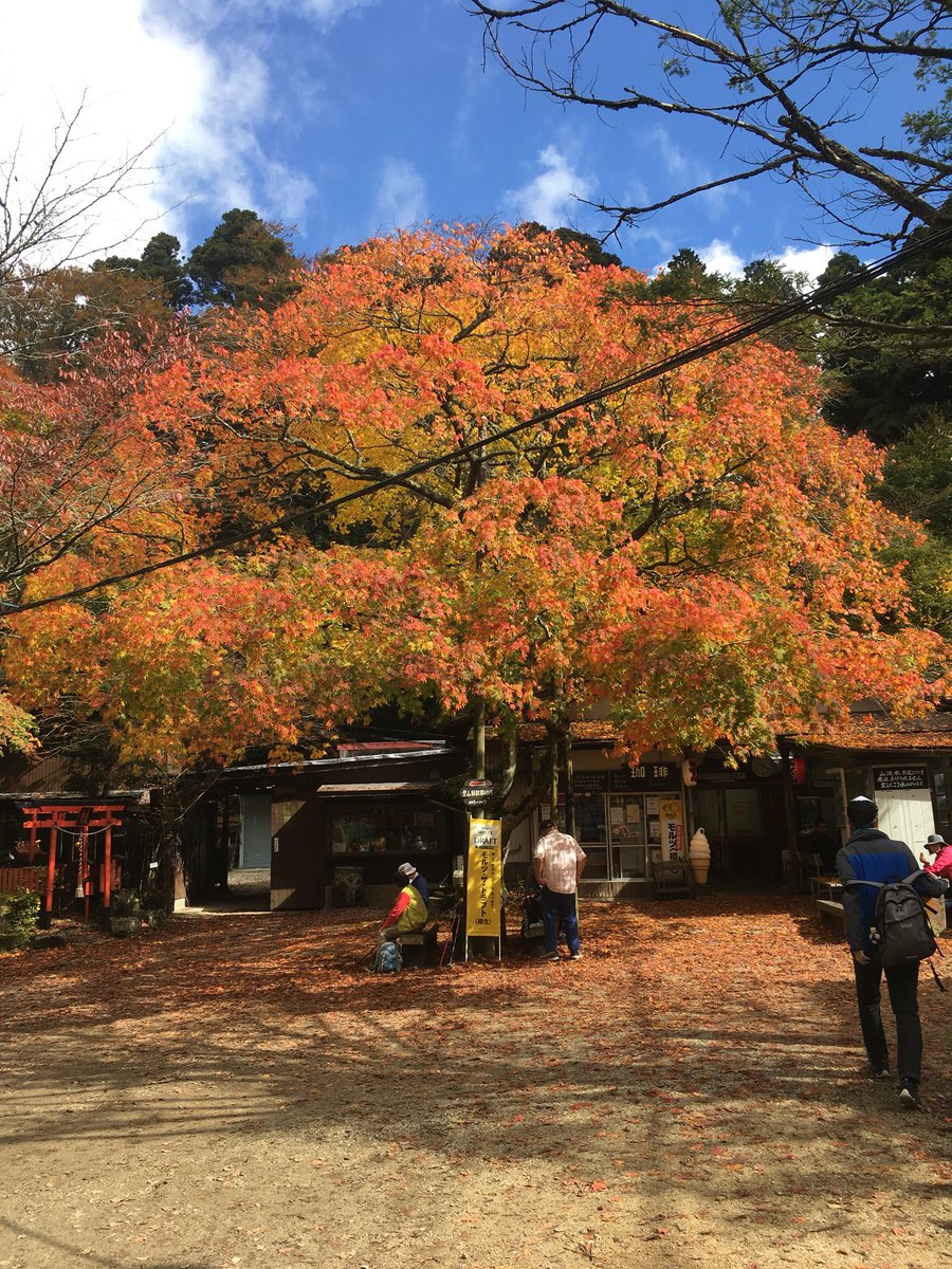 紅葉見頃 紅葉便り 18年10 28現在 紅葉情報 紅葉便り T Co Vg1ho4hxk4 奈良県御所市と大阪府の唯一の村の千早赤阪村との 境目にある標高1 125m 金剛山 こんごうさん では 山頂の紅葉が見頃です 写真はトヨちゃん 9rcegl25v0wrw3fの 紅葉見頃 紅葉便り 18年10 28現在 紅葉情報 紅葉便り T Co Vg1ho4hxk4 奈良県御所市と大阪府の唯一の村の千早赤阪村との 境目にある標高1 125m 金剛山 こんごうさん では 山頂の紅葉が見頃です 写真はトヨちゃん 9rcegl25v0wrw3fの