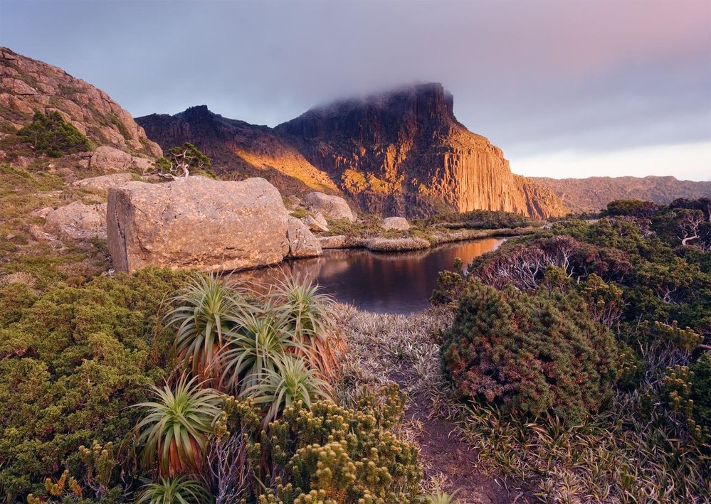 DrFumblefinger's tweet photo. Check out this great #travelblog from #NinaSimons.
#Highlights for your #travel in #Tasmania. #ttot
https://t.co/pIbT92Ta53 https://t.co/8SFLysjhSV