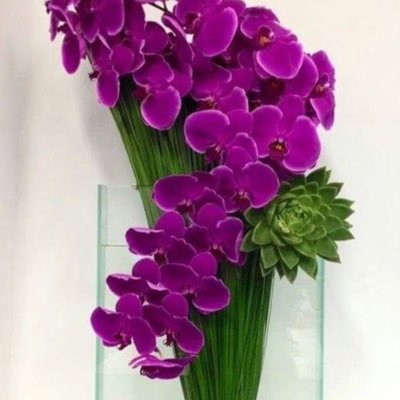 glazayed93's tweet image. #NewProfilePic